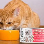 Alimento-Humedo-Special-Kitty-Sabor-A-Salmon-140-G-7-36240