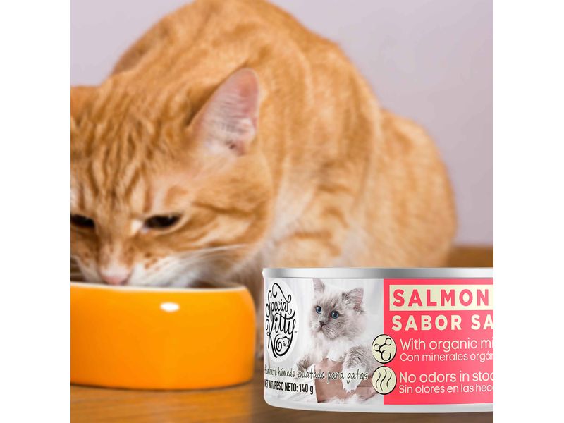 Alimento-Humedo-Special-Kitty-Sabor-A-Salmon-140-G-7-36240