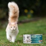 Alimento-Humedo-Special-Kitty-Sabor-A-Atun-140-g-7-36242
