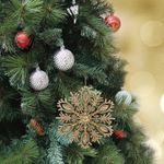 GTIN-0632971641014-11