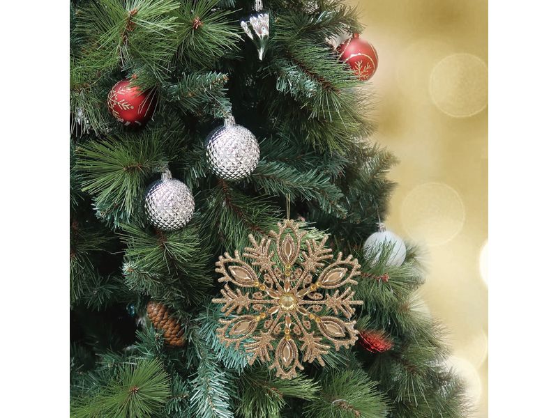 GTIN-0632971641014-11