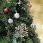 GTIN-0632971641014-09