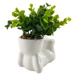 Planta-artificial-Mainstays-con-maceta-de-Cer-mica-Modelo-KB188-1015-1-28090