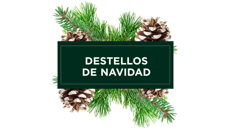 Catalogo drim navidad discount 2020