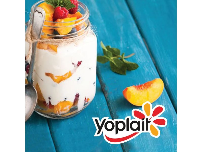 Yogurt-Yoplait-Arandanos-Light-230Ml-4-3915