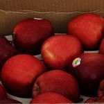 Manzana-Roja-Grande-Caja-2-45702