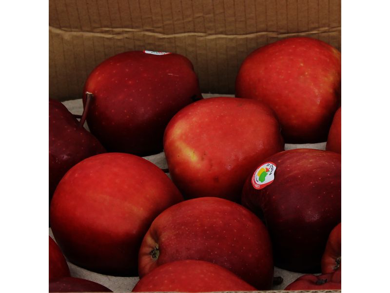 Manzana-Roja-Grande-Caja-2-45702