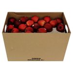 Manzana-Roja-Grande-Caja-1-45702