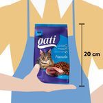 Comida-Gati-Para-Gato-Adulto-Sabor-A-Pescado-M-s-2-Meses-1000g-3-592