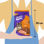 Alimento-Gati-Para-Gato-Adulto-Sabor-Pollo-M-s-2-Meses-1kg-5-593