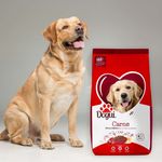 Alimento-Dogui-Perro-Adulto-Sabor-Carne-Y-Arroz-18-Meses-En-Adelante-4kg-8-599