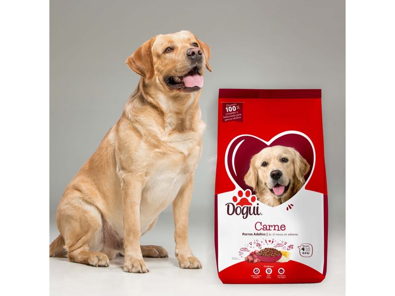 Alimento-Dogui-Perro-Adulto-Sabor-Carne-Y-Arroz-18-Meses-En-Adelante-4kg-8-599