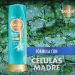 Acondicionador-Sedal-Celulas-Madre-340ml-4-33998