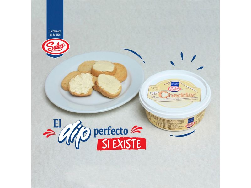 Dip-Salud-Sabor-Cheddar-Tarro-210gr-4-27524