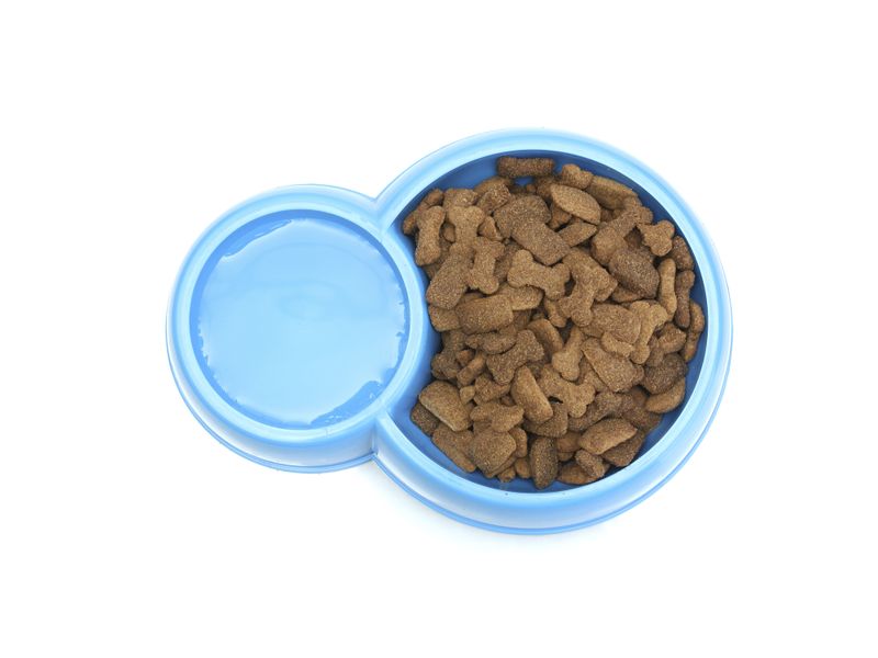 Comida-P-Perro-Miocane-Adulto-907Gr-4-28713