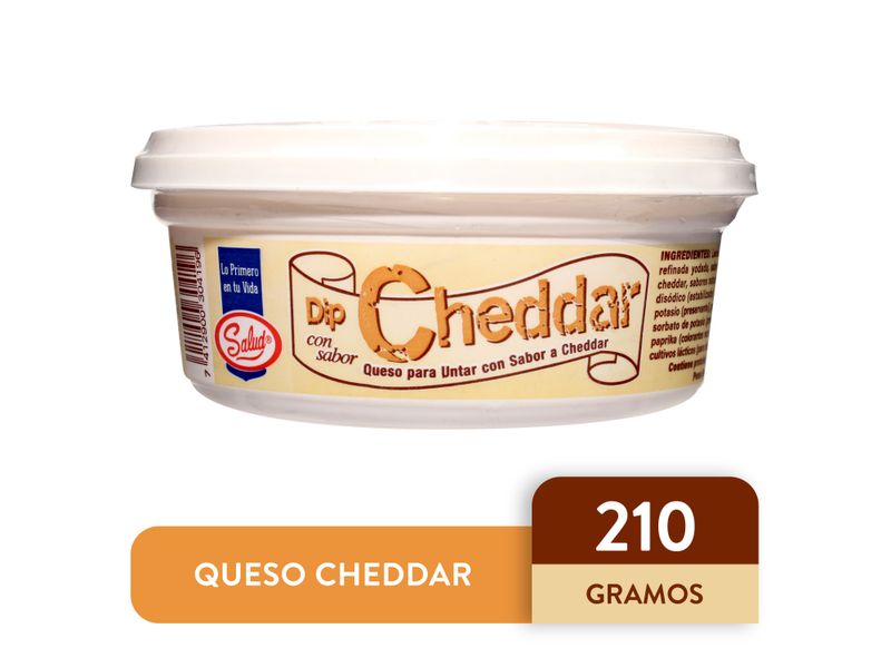 Dip-Salud-Sabor-Cheddar-Tarro-210gr-1-27524