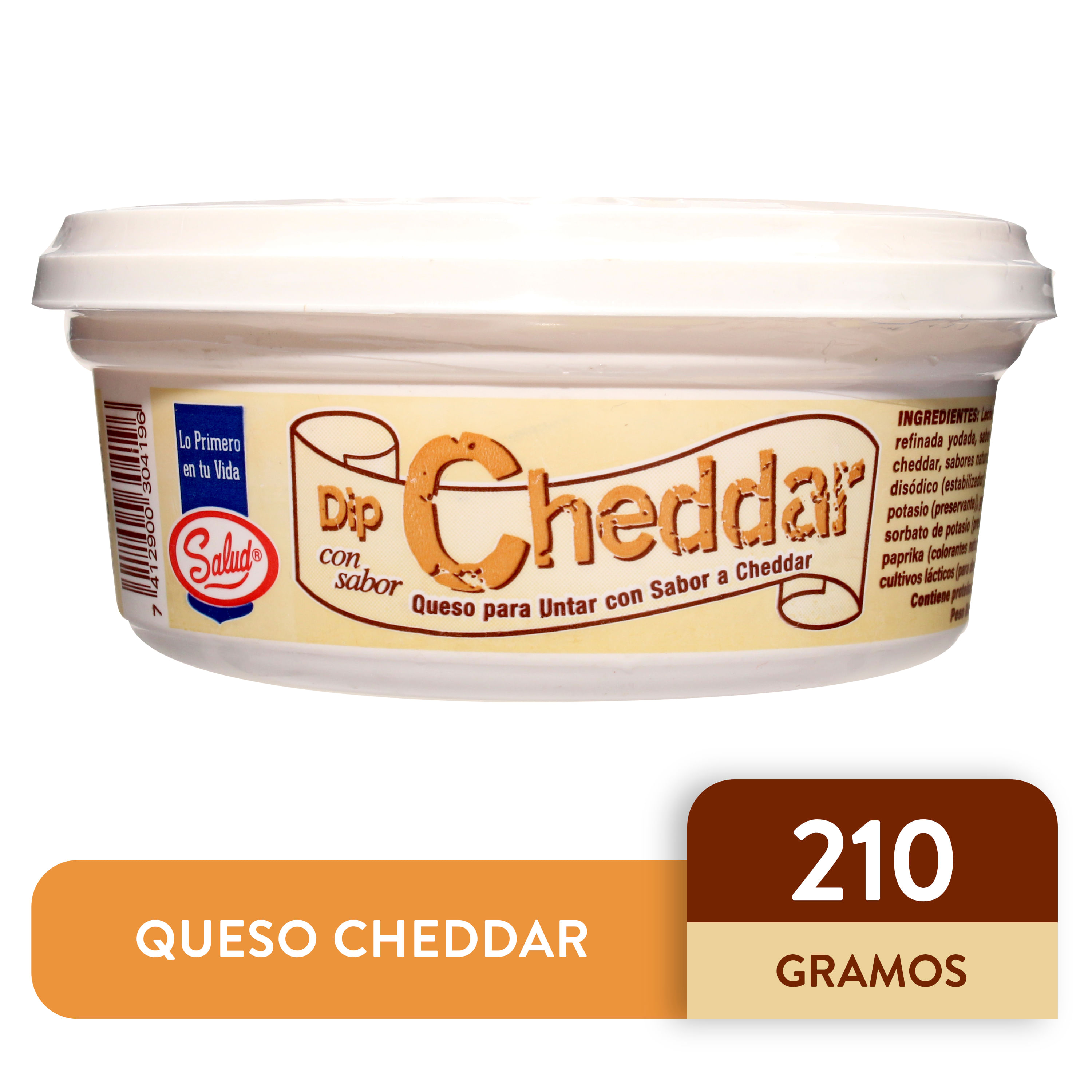 Dip-Salud-Sabor-Cheddar-Tarro-210gr-1-27524