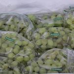 GTIN-0000000072113-02