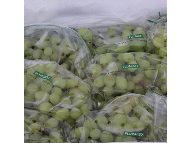 GTIN-0000000072113-02