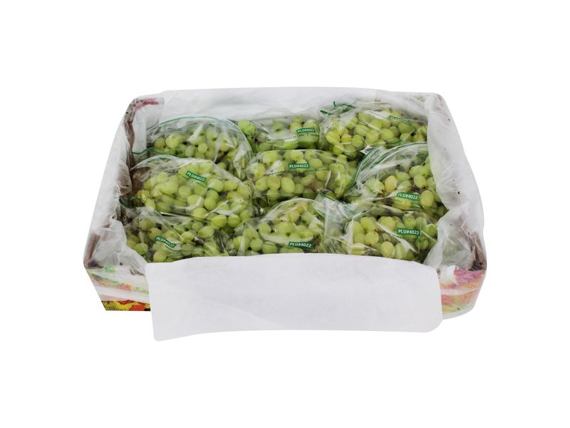 GTIN-0000000072113-01