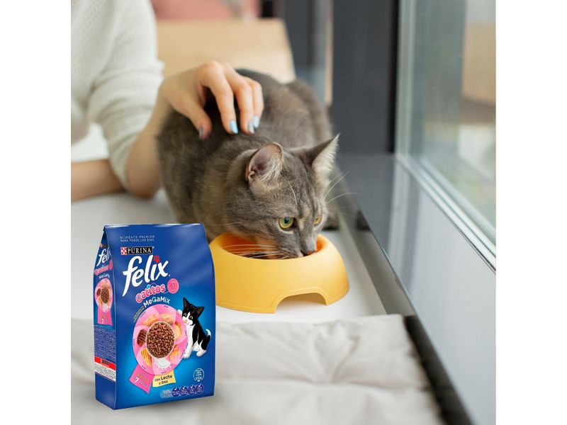 Felix-Gatitos-Megamix-1500Gr-7-28815