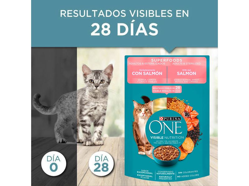 Alimento-Humedo-Onecat-Para-Perro-Adulto-Super-Food-85gr-7-34810