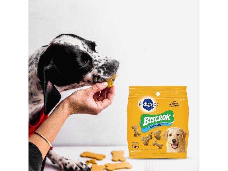 Biscrok-Pedigree-Para-Cachorros-100gr-3-33967