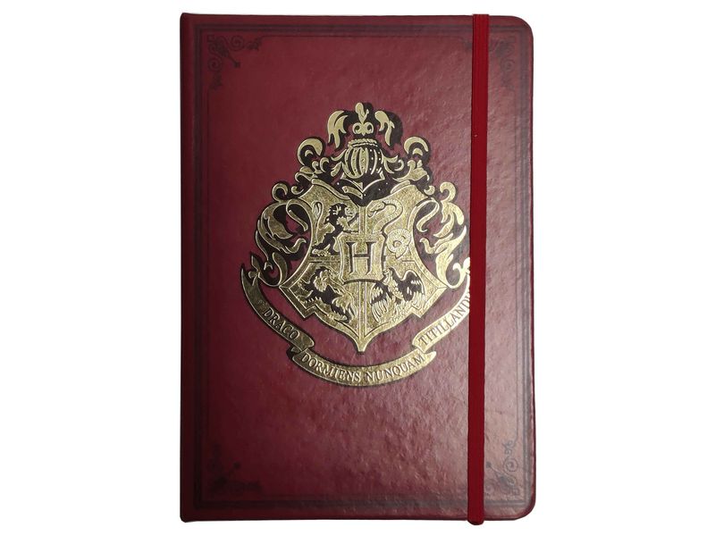 Set-de-Papeler-a-Harry-Potter-diario-y-bol-grafo-Modelo-DTHP2207-4-29031