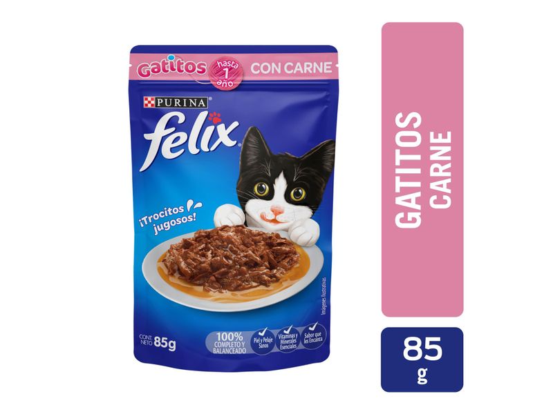 Felix-Pouch-Adul-Carne-85Gr-1-28814