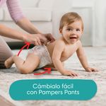 Pa-ales-Pampers-Cruisers-360-Talla-5-12kg-56Uds-10-17453