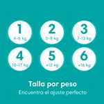 Pa-ales-Pampers-Baby-Dry-Talla-2-5-kg-56Uds-7-4724