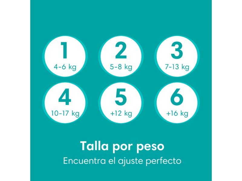 Pa-ales-Pampers-Baby-Dry-Talla-2-5-kg-56Uds-7-4724