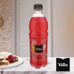 Jugo-Del-Valle-Ponche-De-Frutas-500Ml-5-3723