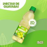 Nectar-De-Guayaba-Monte-Moreno-450ml-6-43805