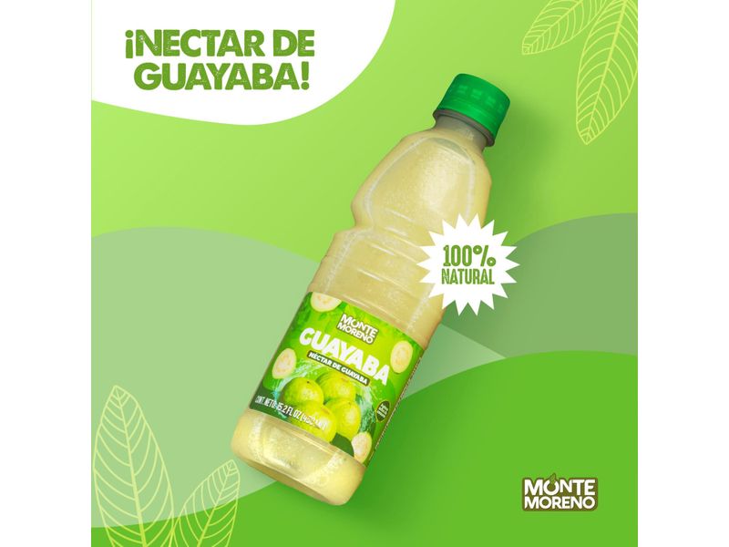 Nectar-De-Guayaba-Monte-Moreno-450ml-6-43805