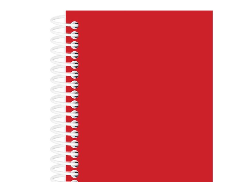 Cuaderno-Nottas-Espiral-Pasta-Flexible-Tama-o-Profesional-100-Hojas-3-31935