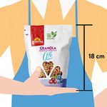 Granola-Granvita-Arandano-Mora-Azul-0-Azucar-350Gr-3-395