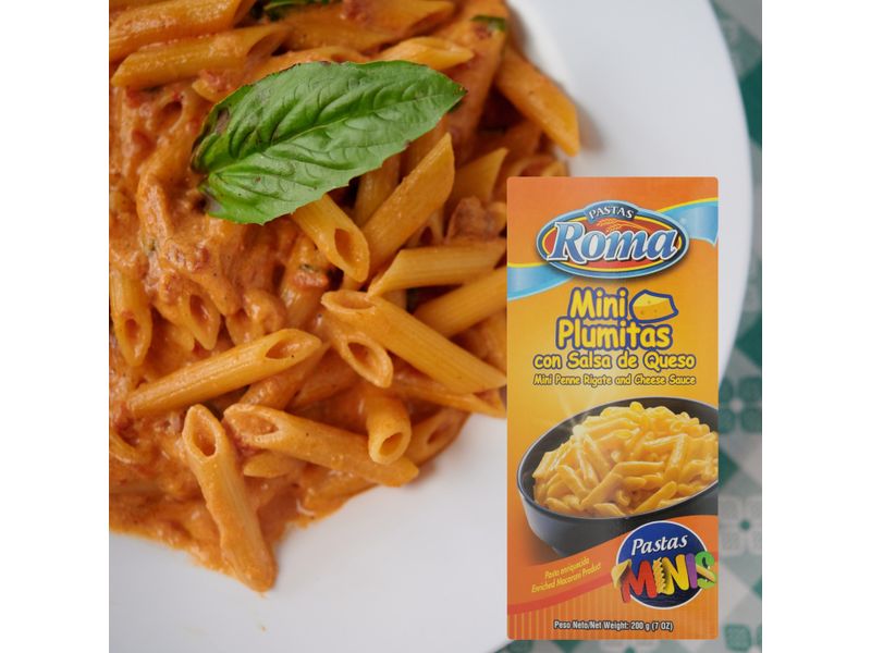 Pasta-Roma-Mini-Plumas-Salsa-Queso-200gr-6-38219