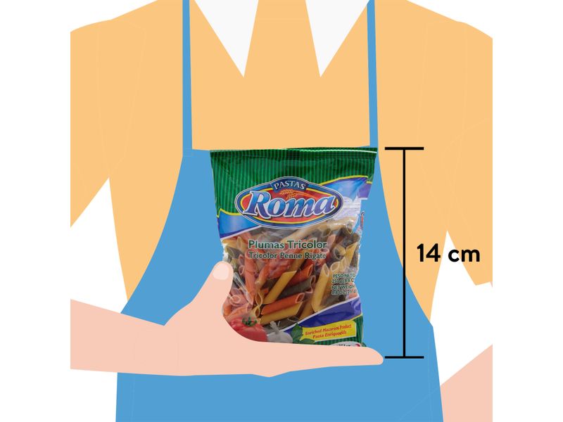Pasta-Roma-Mediana-Pluma-Tricolor-250gr-3-2850