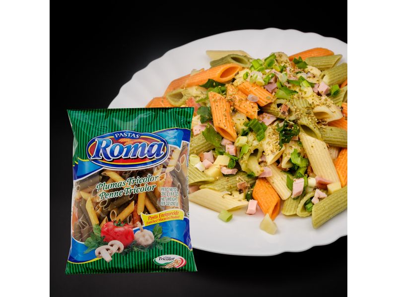 Pasta-Roma-Mediana-Pluma-Tricolor-250gr-4-2850