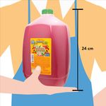 Bebida-Super-Juoo-Fruit-Punch-3785Ml-3-14895
