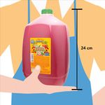 Bebida-Super-Juoo-Fruit-Punch-3785Ml-3-14895