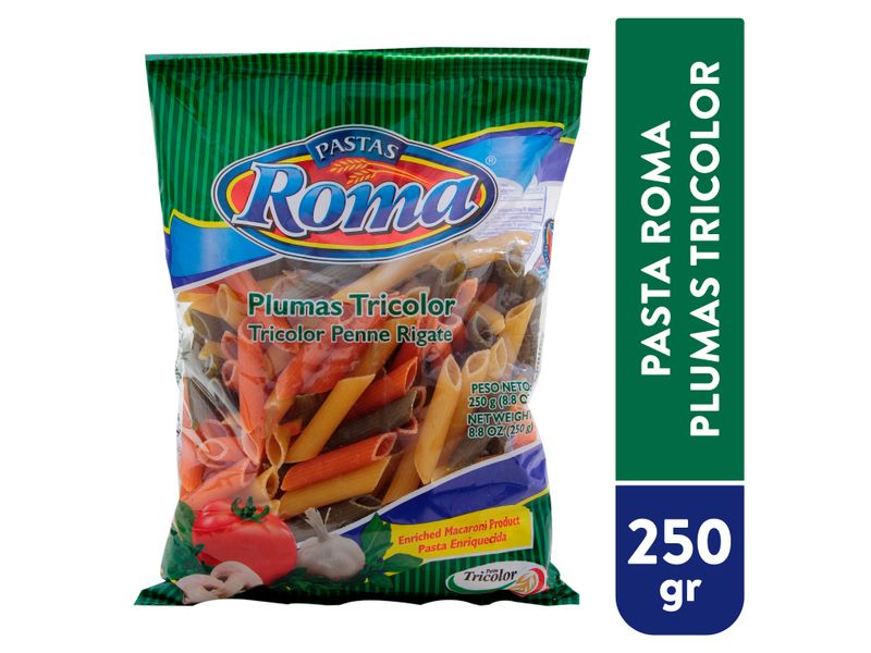 Pasta-Roma-Mediana-Pluma-Tricolor-250gr-1-2850