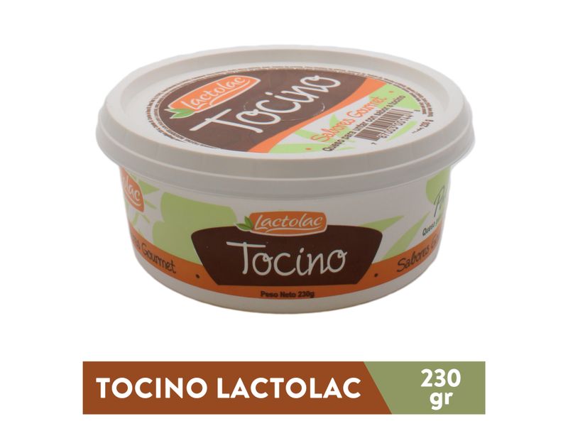 Dip-Lactosa-Tocino-Pana-230gr-1-7531