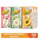 Nectar-California-Surtido-Tb-6Pack-200Ml-1-20395