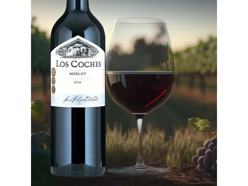 Vino-Lcoches-Cabernet-Sauv-Class-750Ml-4-6752