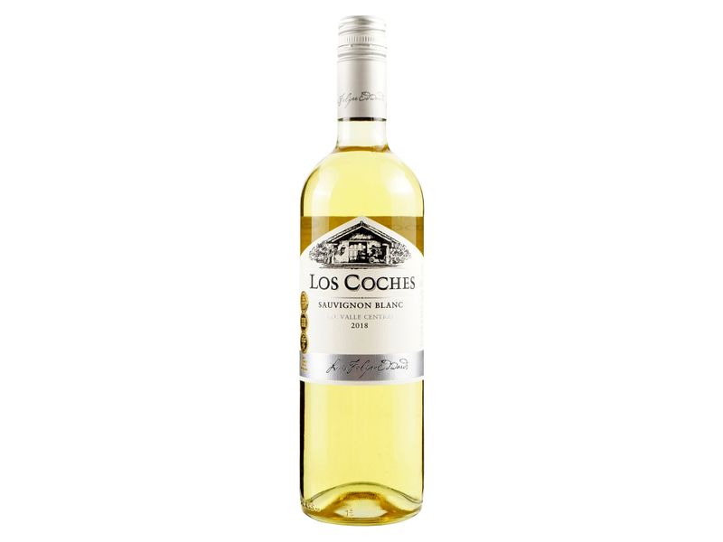 Vino-Sauv-Blanc-Classic-Lcoches-750Ml-2-6755