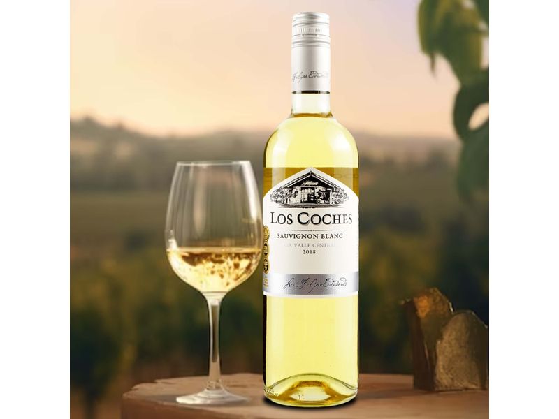 Vino-Sauv-Blanc-Classic-Lcoches-750Ml-4-6755