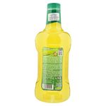 Mixer-La-Celebracion-Margarita-1750Ml-2-2244