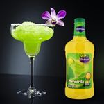 Mixer-La-Celebracion-Margarita-1750Ml-4-2244